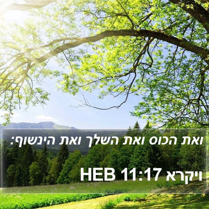 ויקרא 11:17 HEB Bible Study