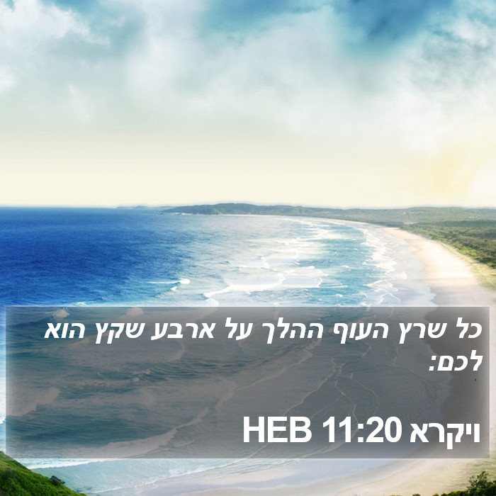 ויקרא 11:20 HEB Bible Study