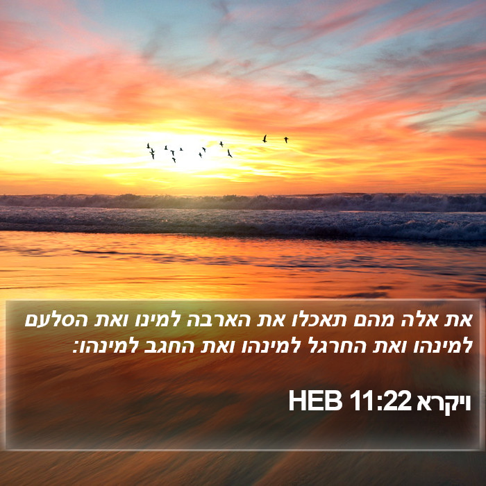 ויקרא 11:22 HEB Bible Study