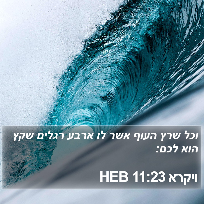 ויקרא 11:23 HEB Bible Study