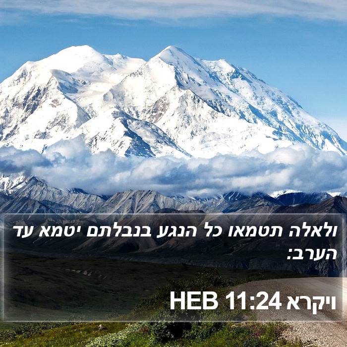 ויקרא 11:24 HEB Bible Study