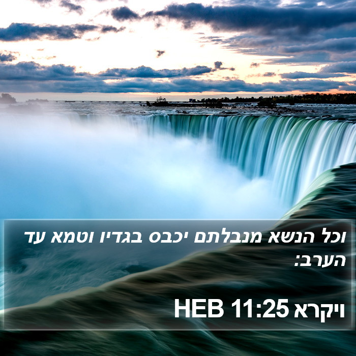 ויקרא 11:25 HEB Bible Study