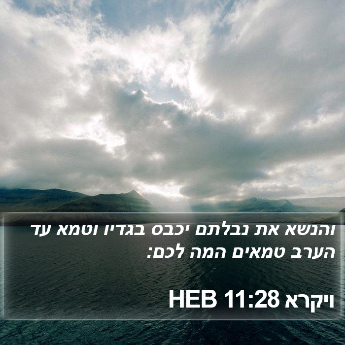 ויקרא 11:28 HEB Bible Study