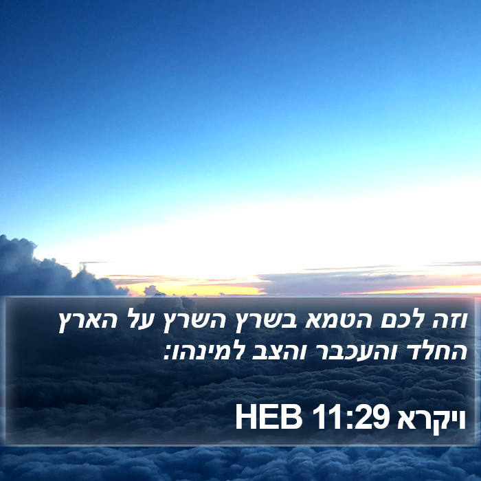 ויקרא 11:29 HEB Bible Study