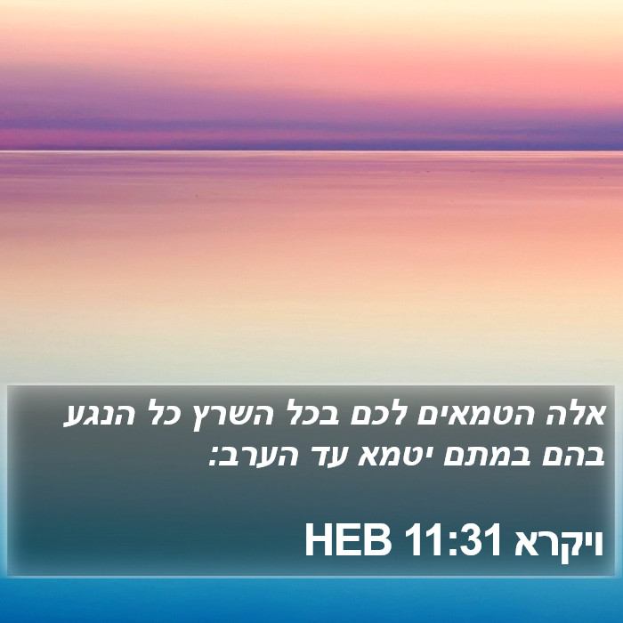 ויקרא 11:31 HEB Bible Study