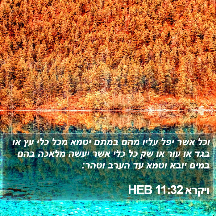 ויקרא 11:32 HEB Bible Study