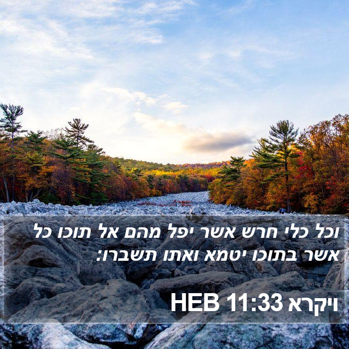 ויקרא 11:33 HEB Bible Study