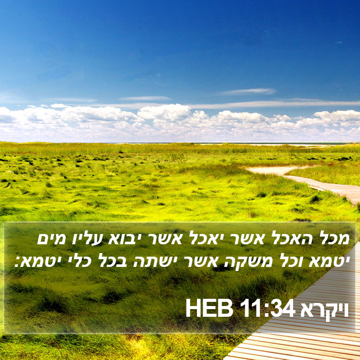 ויקרא 11:34 HEB Bible Study