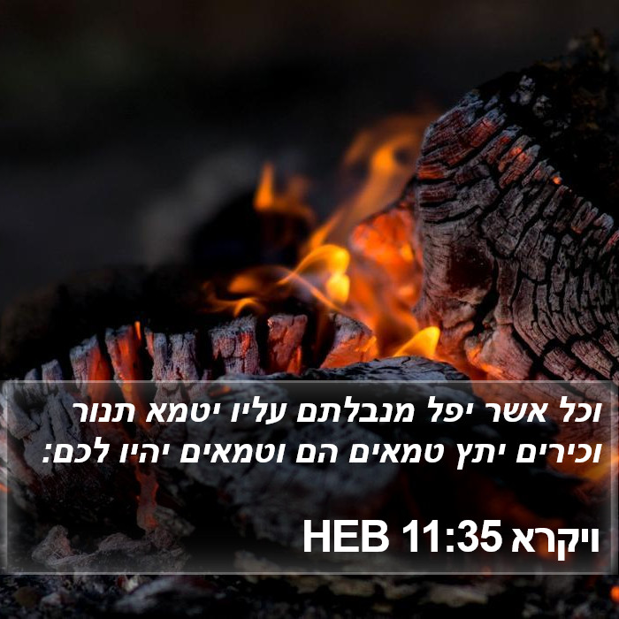 ויקרא 11:35 HEB Bible Study