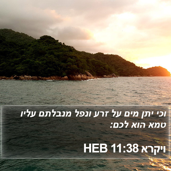 ויקרא 11:38 HEB Bible Study