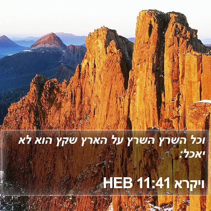 ויקרא 11:41 HEB Bible Study