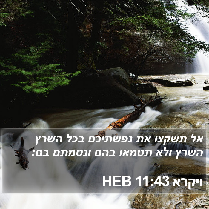 ויקרא 11:43 HEB Bible Study