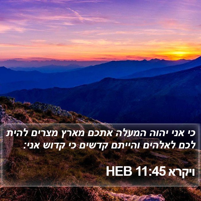 ויקרא 11:45 HEB Bible Study