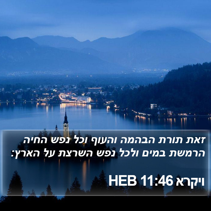 ויקרא 11:46 HEB Bible Study