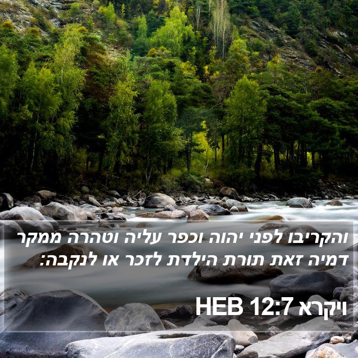 ויקרא 12:7 HEB Bible Study