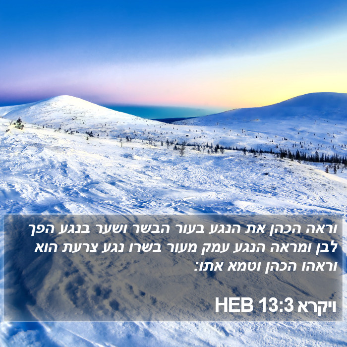 ויקרא 13:3 HEB Bible Study