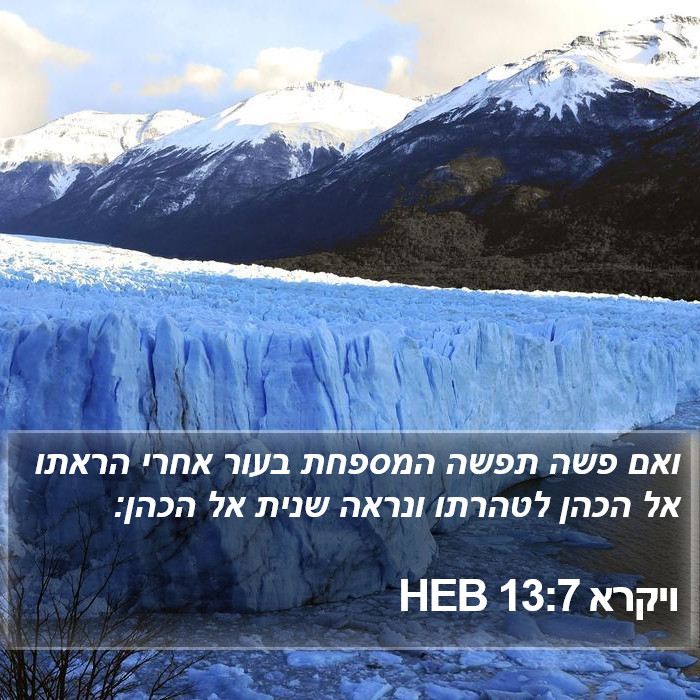 ויקרא 13:7 HEB Bible Study