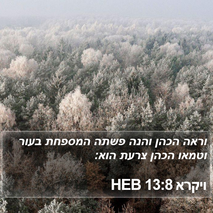 ויקרא 13:8 HEB Bible Study