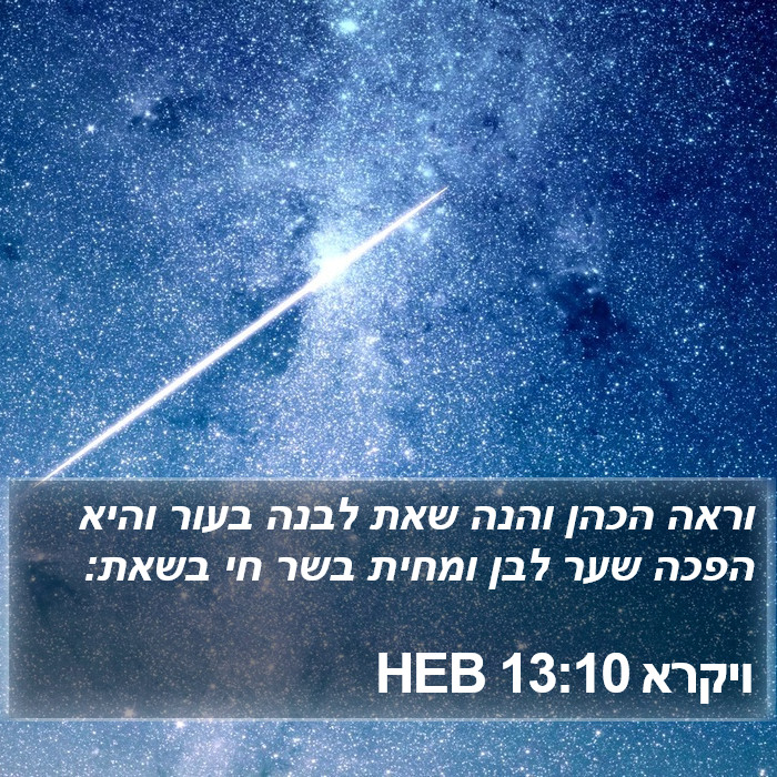 ויקרא 13:10 HEB Bible Study