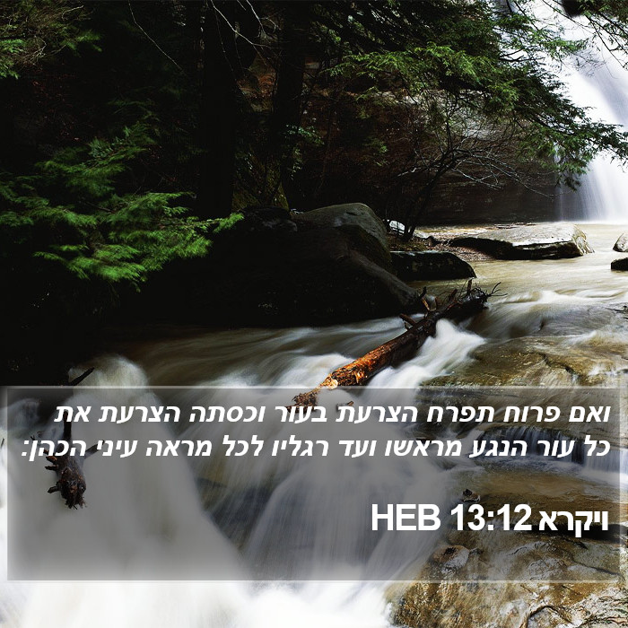 ויקרא 13:12 HEB Bible Study