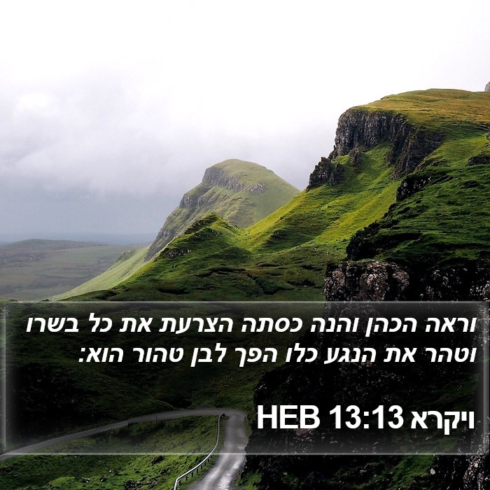 ויקרא 13:13 HEB Bible Study