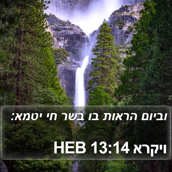 ויקרא 13:14 HEB Bible Study