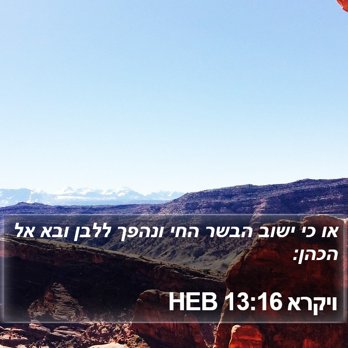 ויקרא 13:16 HEB Bible Study