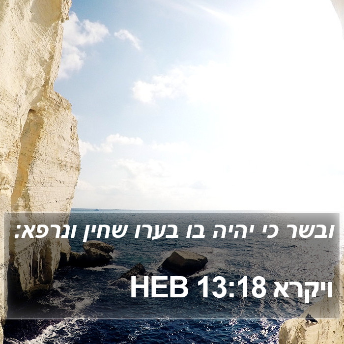 ויקרא 13:18 HEB Bible Study