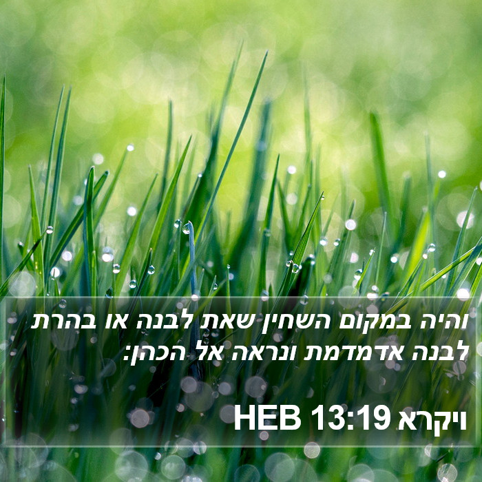 ויקרא 13:19 HEB Bible Study