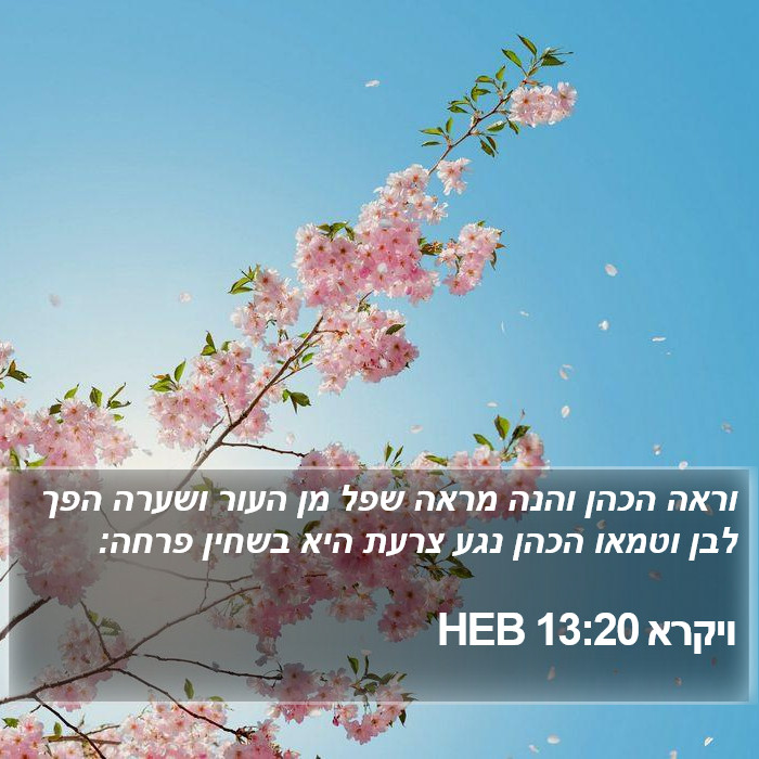 ויקרא 13:20 HEB Bible Study