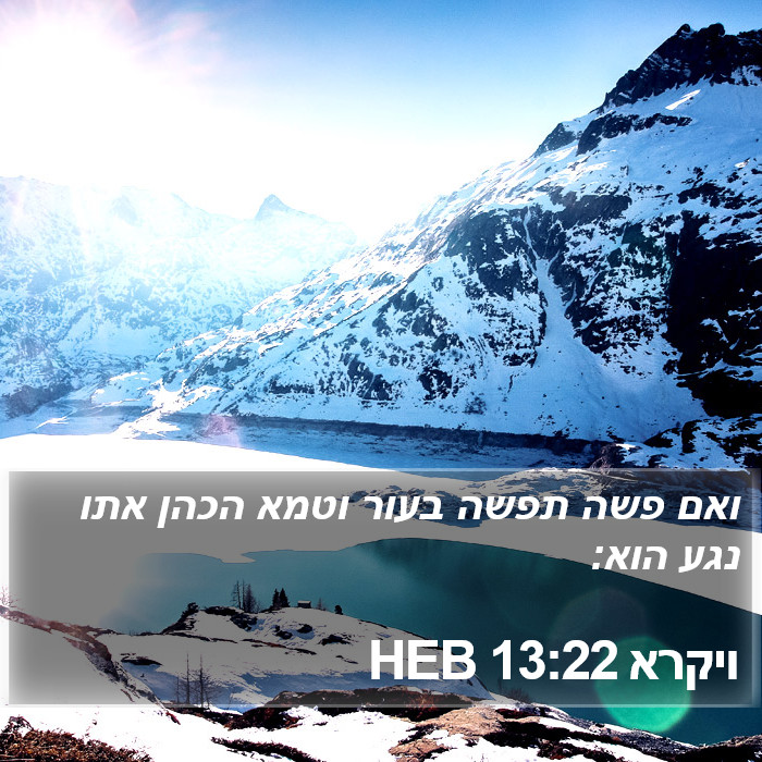 ויקרא 13:22 HEB Bible Study