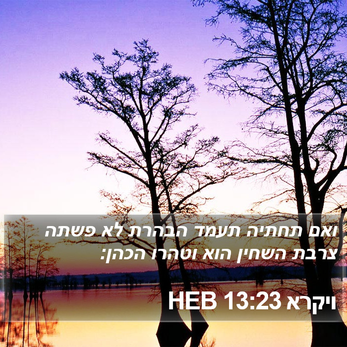 ויקרא 13:23 HEB Bible Study