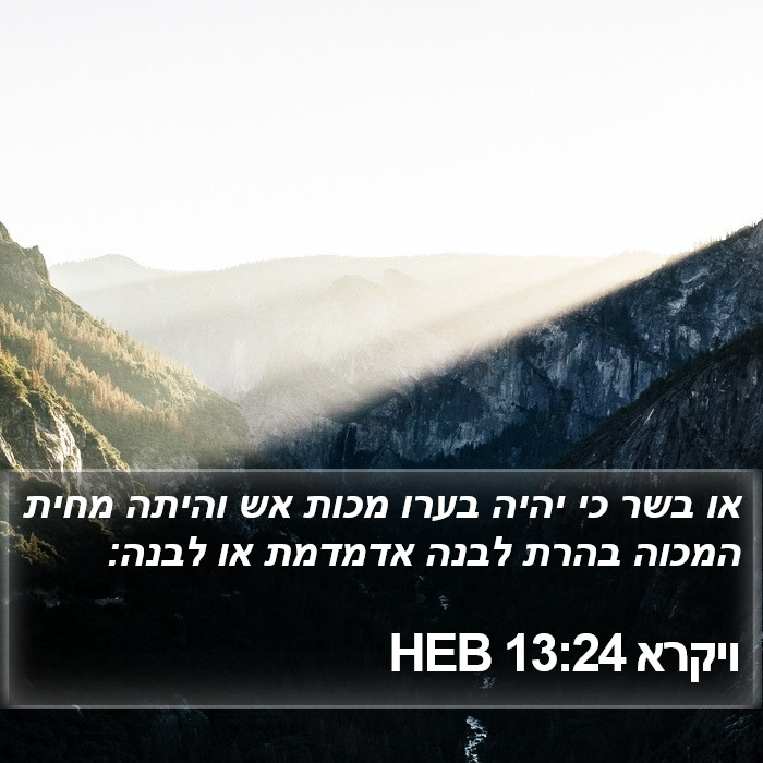 ויקרא 13:24 HEB Bible Study