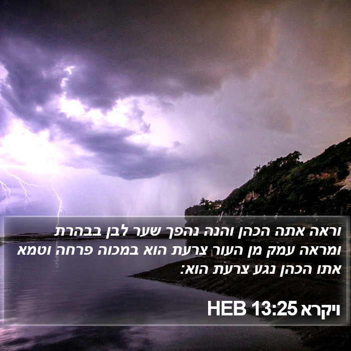 ויקרא 13:25 HEB Bible Study