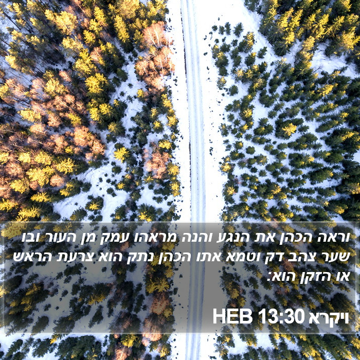 ויקרא 13:30 HEB Bible Study