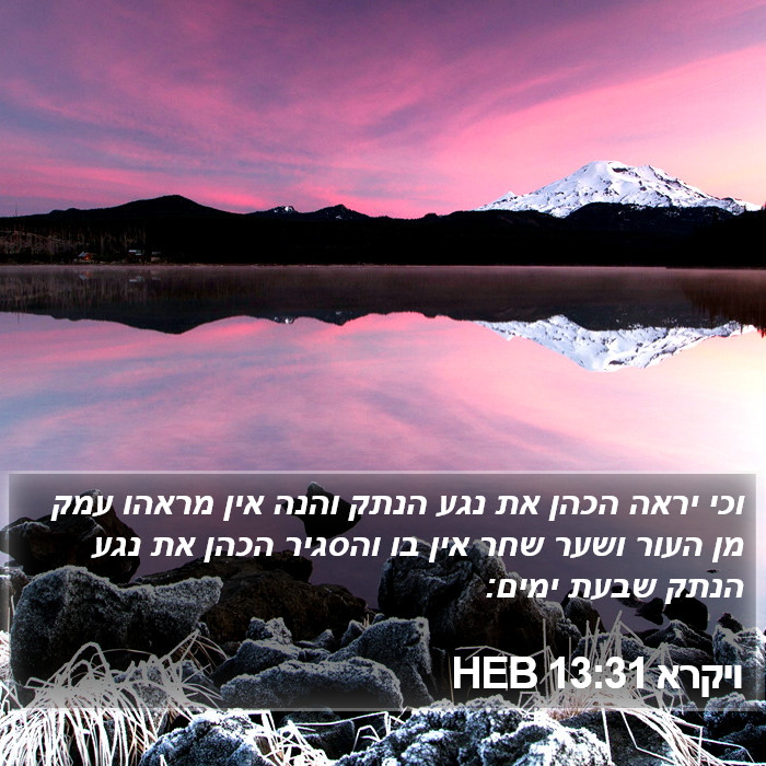 ויקרא 13:31 HEB Bible Study