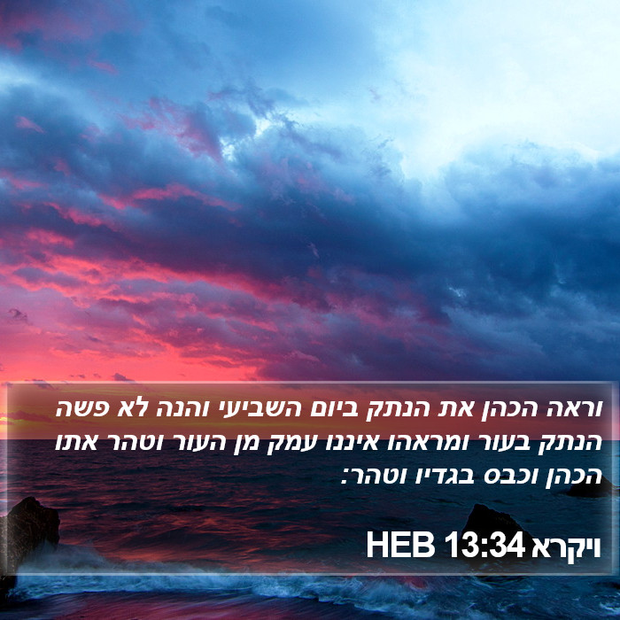 ויקרא 13:34 HEB Bible Study