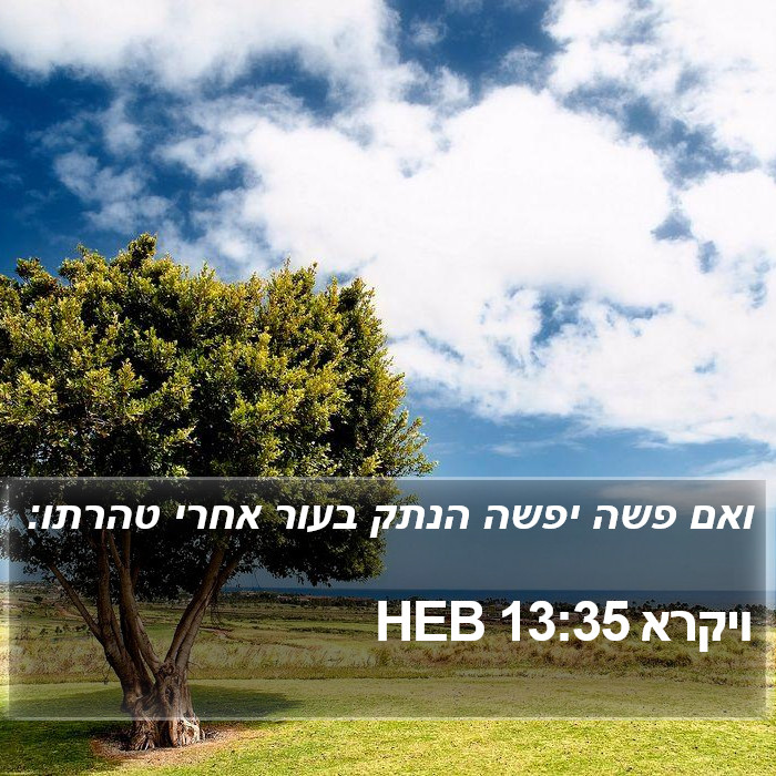 ויקרא 13:35 HEB Bible Study