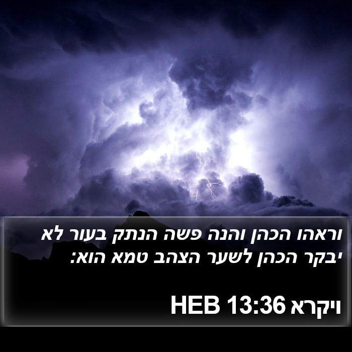 ויקרא 13:36 HEB Bible Study