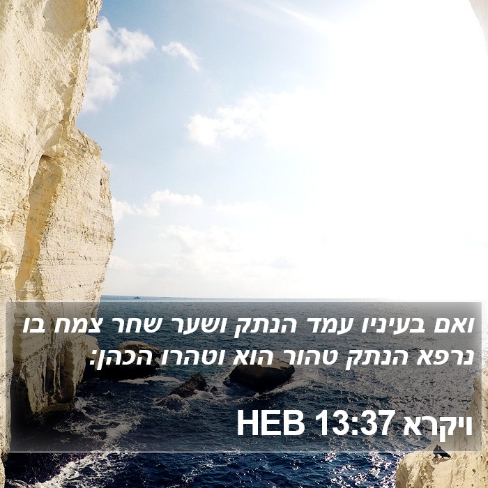 ויקרא 13:37 HEB Bible Study