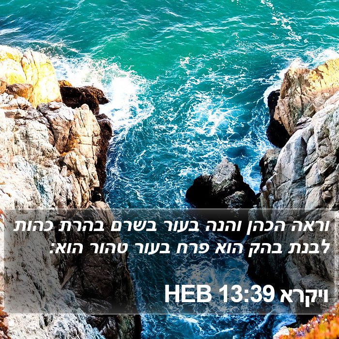 ויקרא 13:39 HEB Bible Study