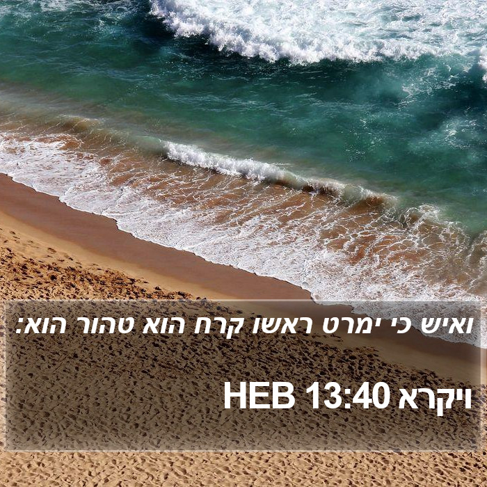 ויקרא 13:40 HEB Bible Study