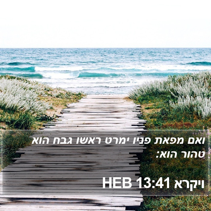 ויקרא 13:41 HEB Bible Study