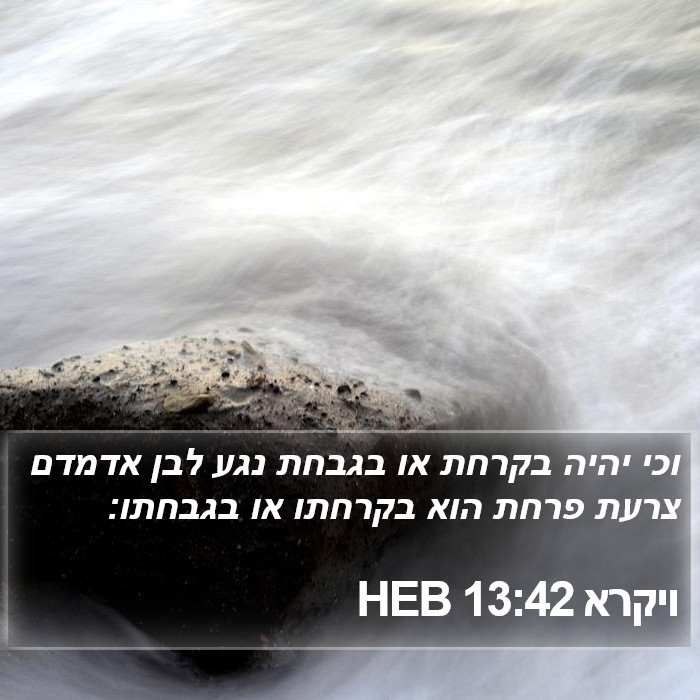 ויקרא 13:42 HEB Bible Study