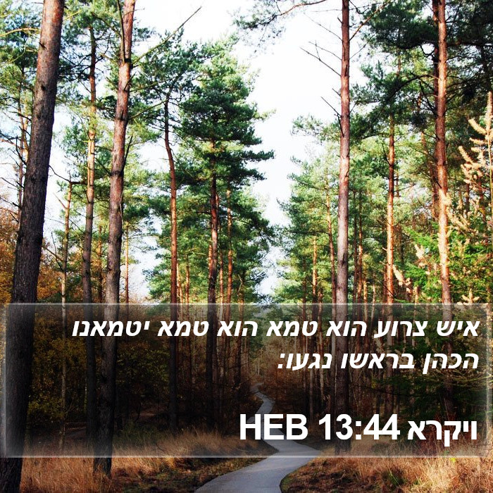 ויקרא 13:44 HEB Bible Study