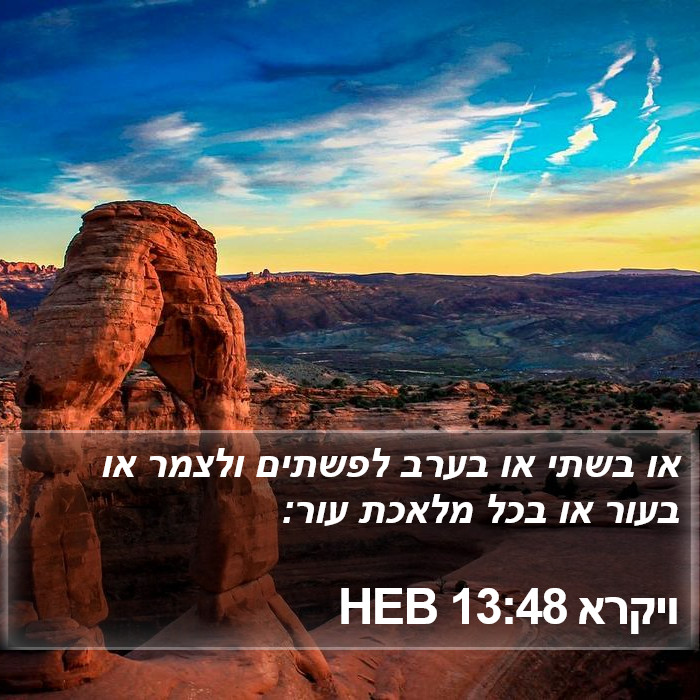 ויקרא 13:48 HEB Bible Study