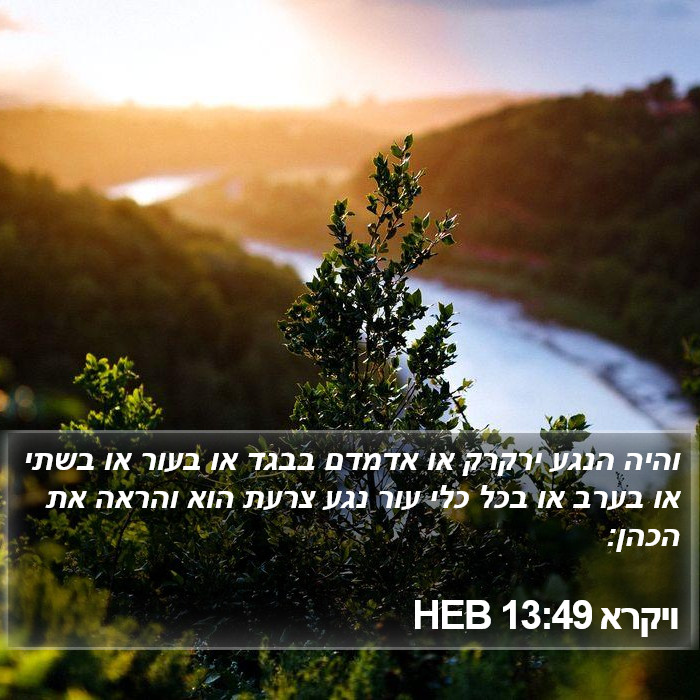 ויקרא 13:49 HEB Bible Study