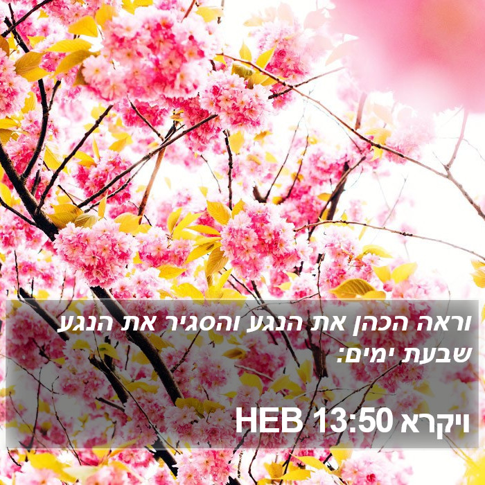 ויקרא 13:50 HEB Bible Study