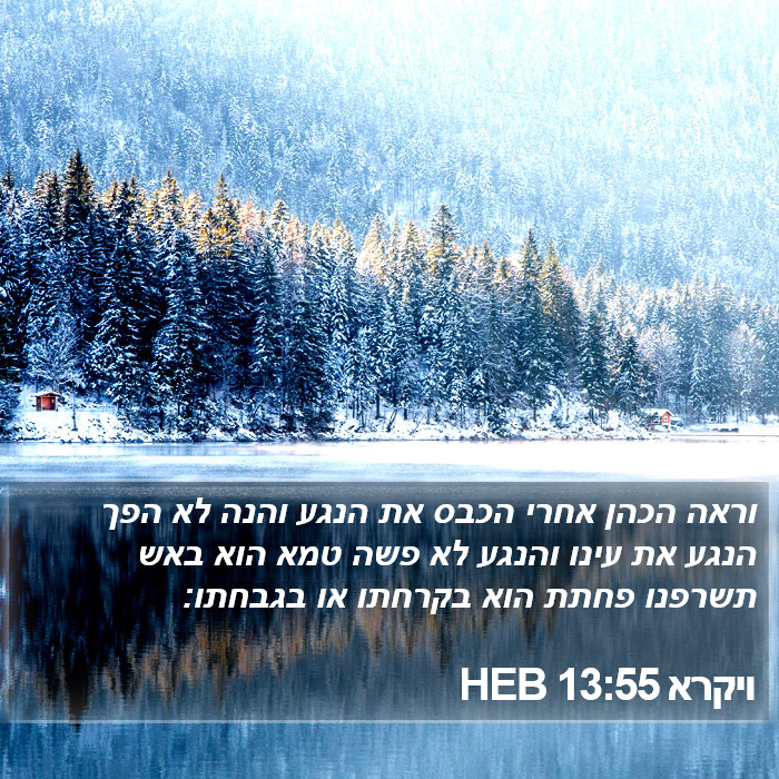 ויקרא 13:55 HEB Bible Study