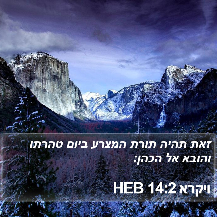 ויקרא 14:2 HEB Bible Study